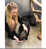 Живаева София Владимировна